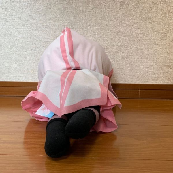 魔法少女まどか☆マギカ メガジャンボ寝そべりぬいぐるみ 環いろは
