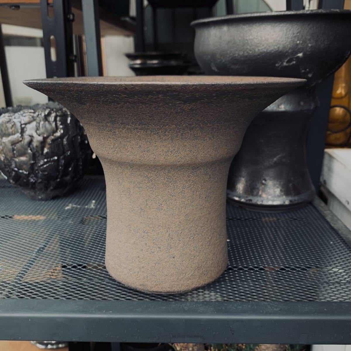 冨部咲喜子 ① 浅鉢 鉢 植木鉢 作家鉢 パキプス アガベ グラキリス 冨部咲喜子 ① 浅鉢 鉢 植木鉢 作家鉢 パキプス アガベ グラキリス 浅