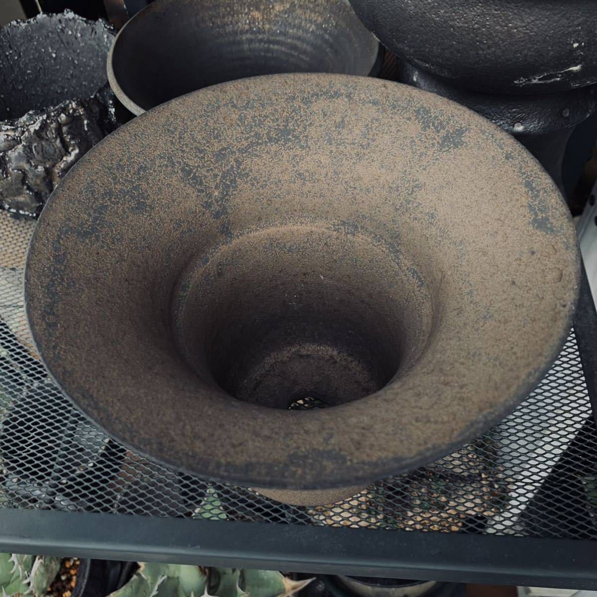 冨部咲喜子 y鉢 raw life factory カタチ製作所 塊根植物 パキプス