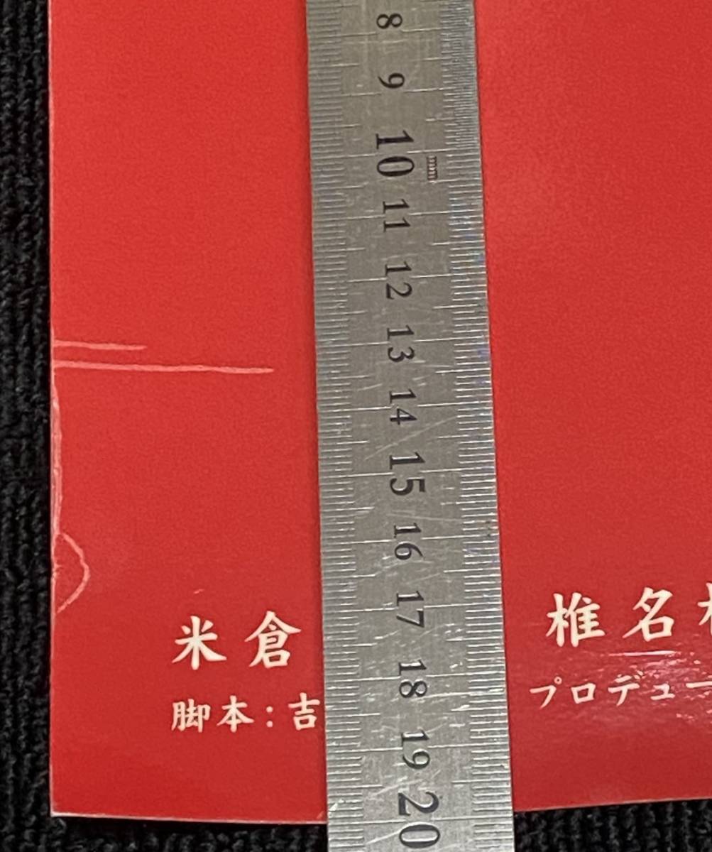 Bibian 比比昂- z321/ 米倉涼子ドラマ「整形美人!!」 ポスター