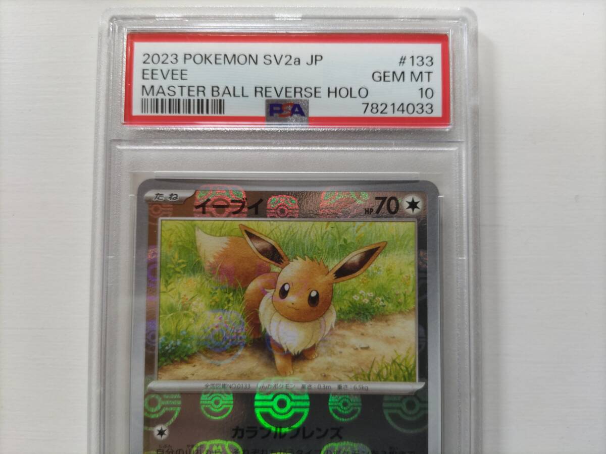 PSA 10 マスボイーブイ ピカチュウ