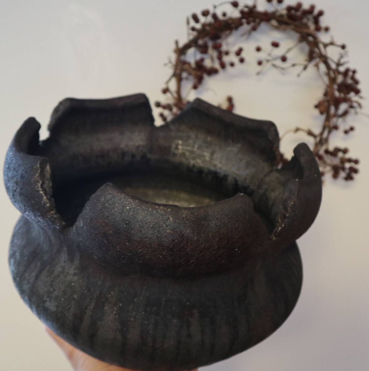 希少　細川政己　作家鉢　人気　y鉢　高級 塊根植物　コーデックス　観葉植物　レア 希少 細川政己 作家鉢 人気 y鉢 高級 塊根植物 コーデックス