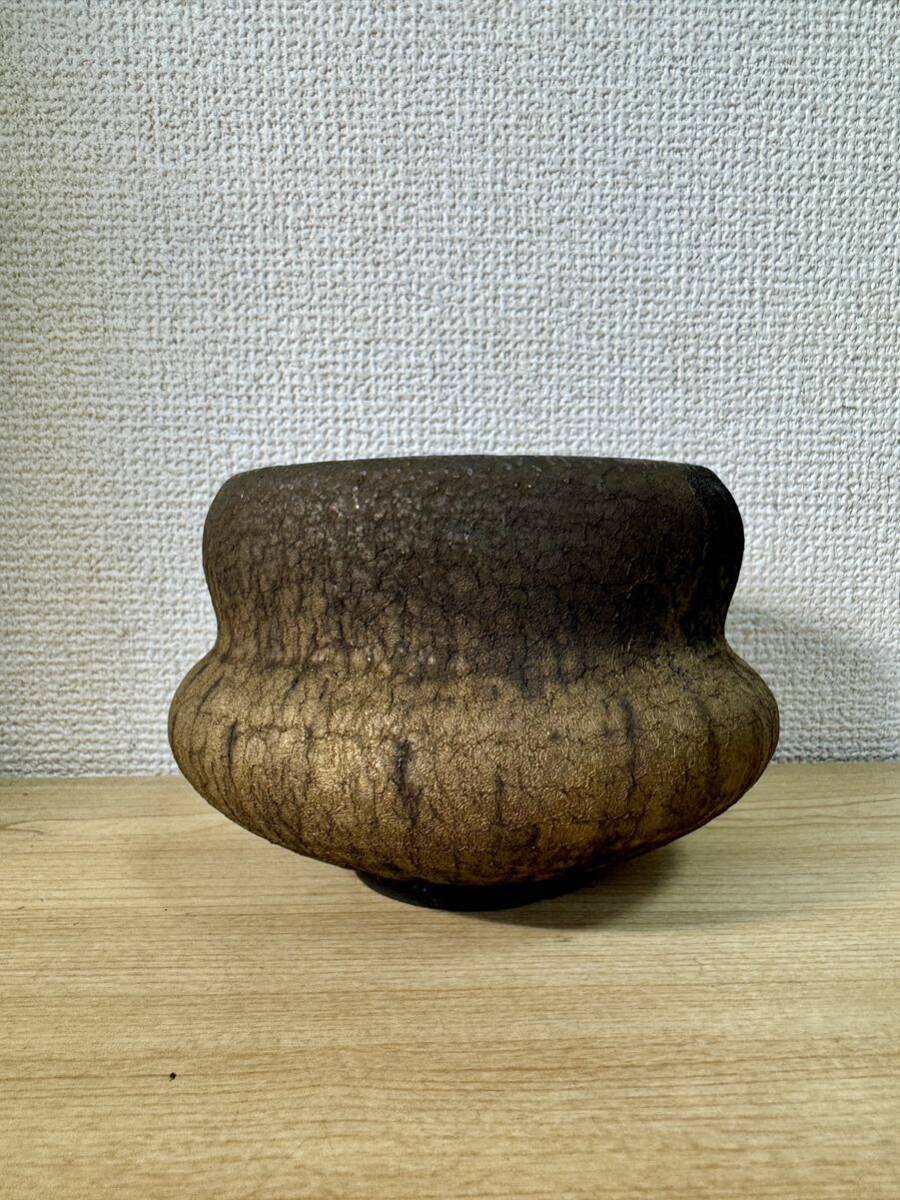 【特別出品】細川政己 新品コレクション分 希少細川政己作家鉢人気y鉢高級 塊根植物コーデックス観葉植物レア