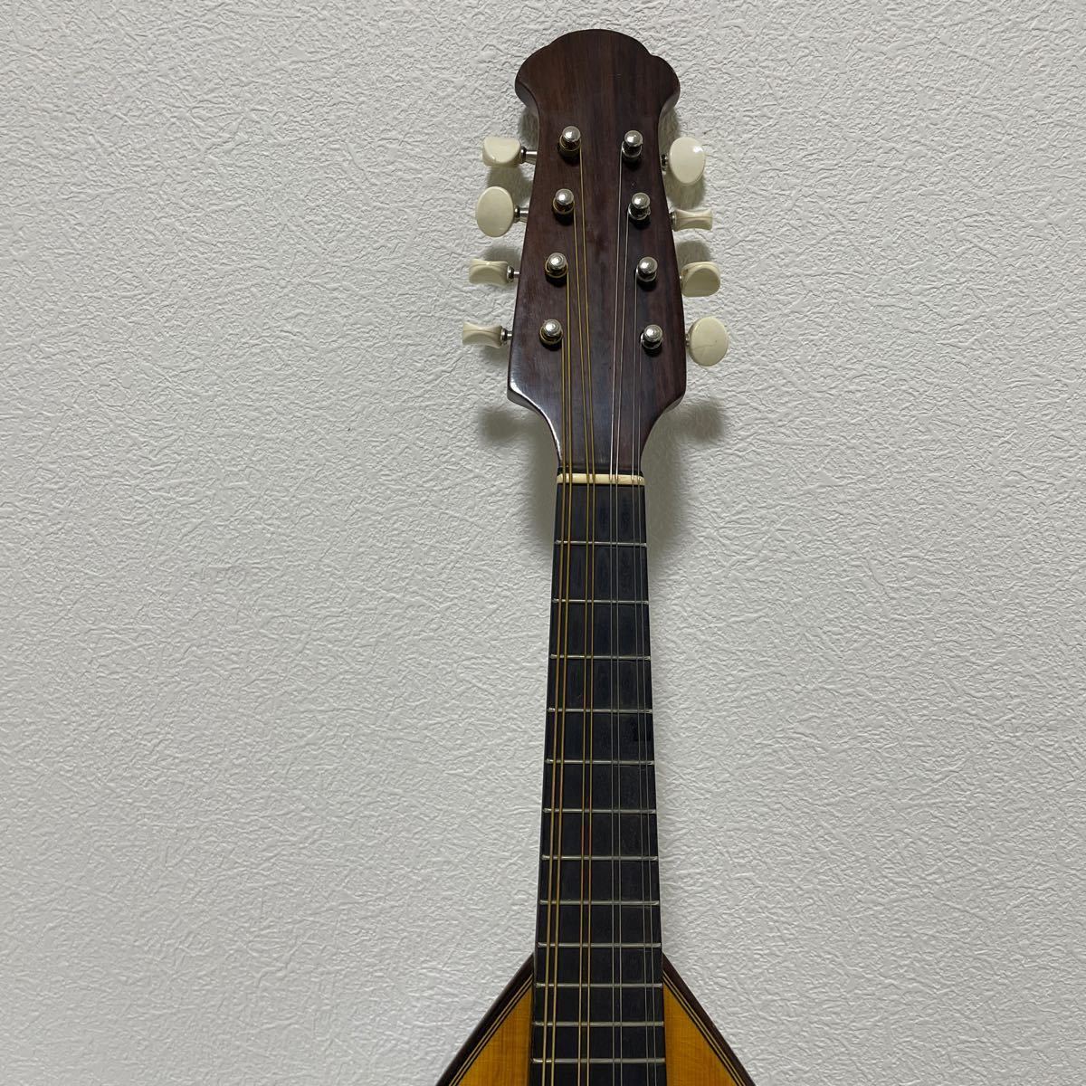 希少 石川捷二郎 S.ISHIKAWA マンドリン NO.60 ハードケース付き 価格