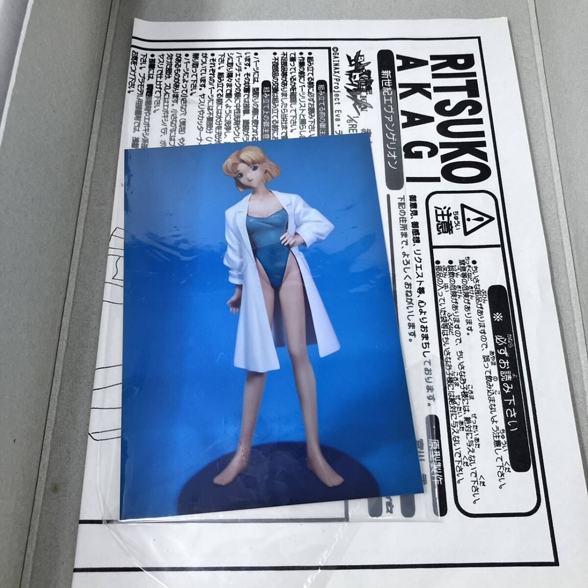 赤木リツコ/水着/エヴァンゲリオン cLayz1/6スケールガレージキット エヴァンゲリオン/赤木リツコ/水着 cLayz1/6スケール