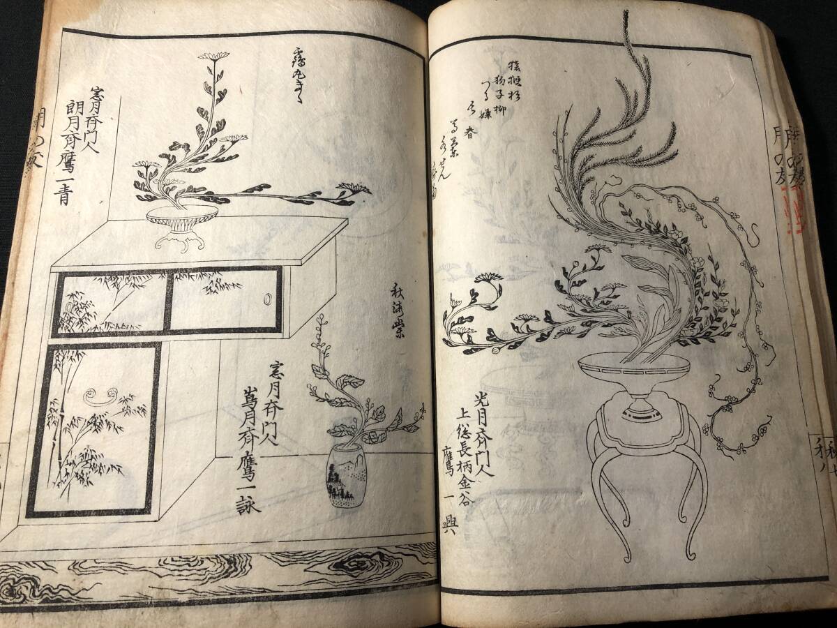 Bibian 比比昂 - 4494華道 絵入 絵本 正風遠州流 □挿花 月の友