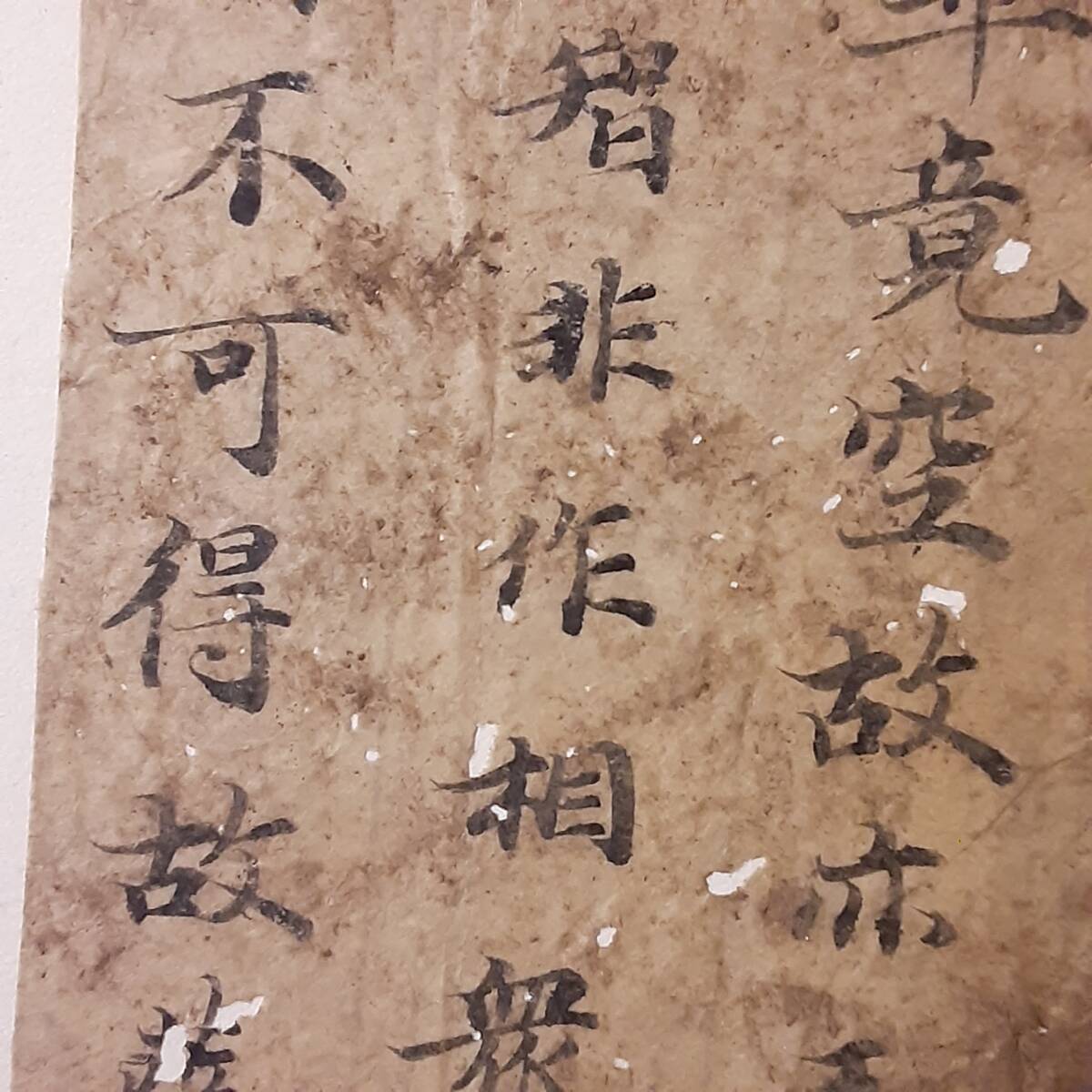 旧蔵☆中国古美術 古董品 掛軸 唐物 唐本  【齊白石 】 紙本 肉筆 ▽鴻▽古書道【近時代・斉白石筆・花卉草虫図】 真筆肉筆 紙本