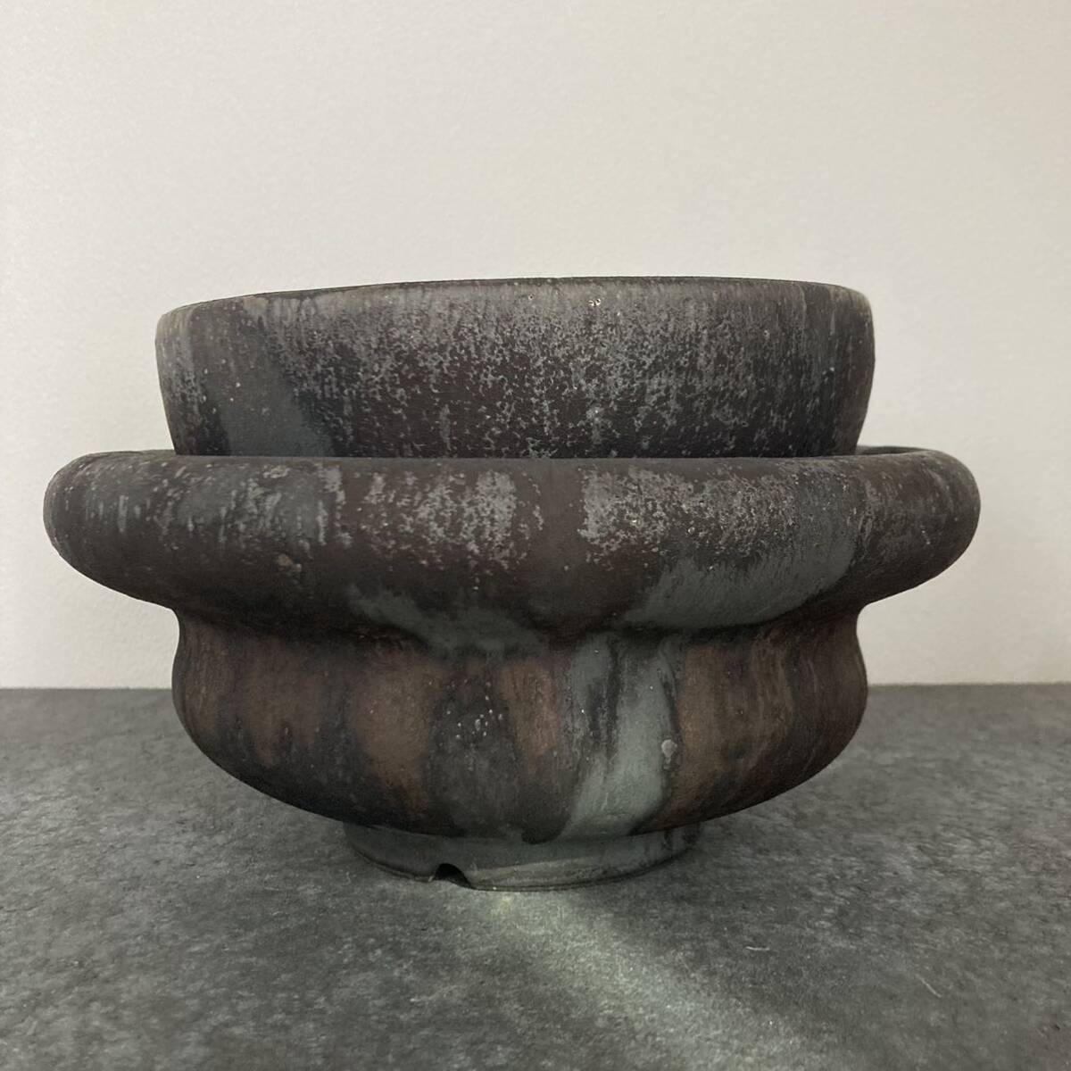 未使用 細川政己 y鉢 大鉢 陶器鉢 カタチ製作所 グラキリス パキプス