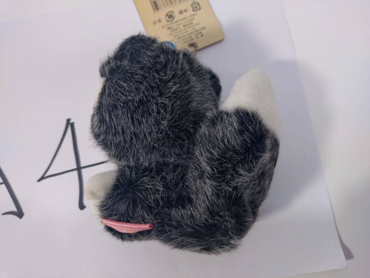 Bibian 比比昂 - ハローキティ 冬季限定 しっぽ倶楽部 ハスキー