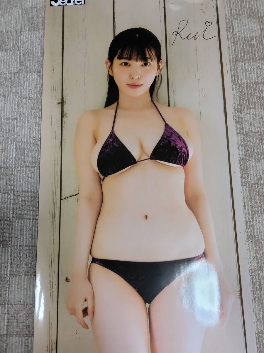 紫藤るい　等身大ポスター　アサ芸シークレット　応募者全員サービス購入　未開封 駿河屋 -<中古>等身大ポスター 紫藤るい アサ芸Secret! Vol.86