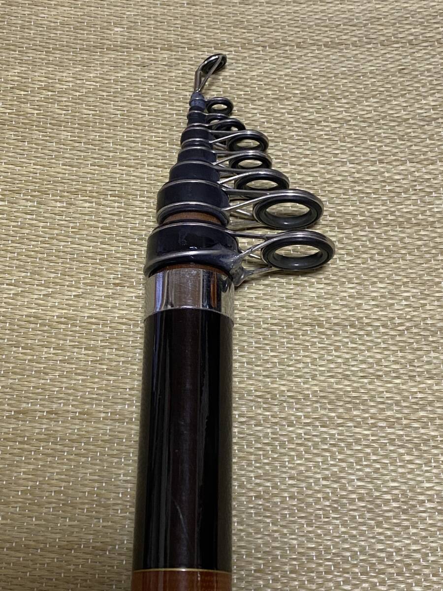 Bibian 比比昂 - ダイワ PG波濤 6号 54G DAIWA グラス製磯竿