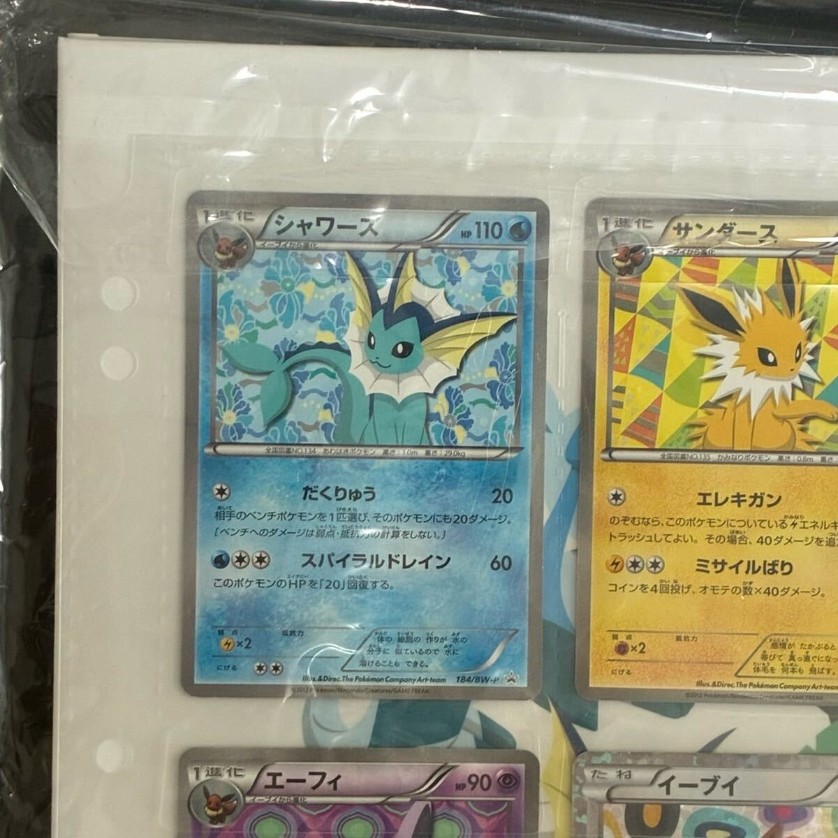 Bibian 比比昂 - ポケモンカード イーブイコレクションファイル